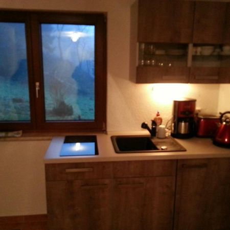 Ferienhaus Moosbachtal Thueringer Wald Bei Oberhof Rotterode Zewnętrze zdjęcie