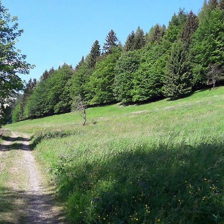 Ferienhaus Moosbachtal Thueringer Wald Bei Oberhof Rotterode Zewnętrze zdjęcie