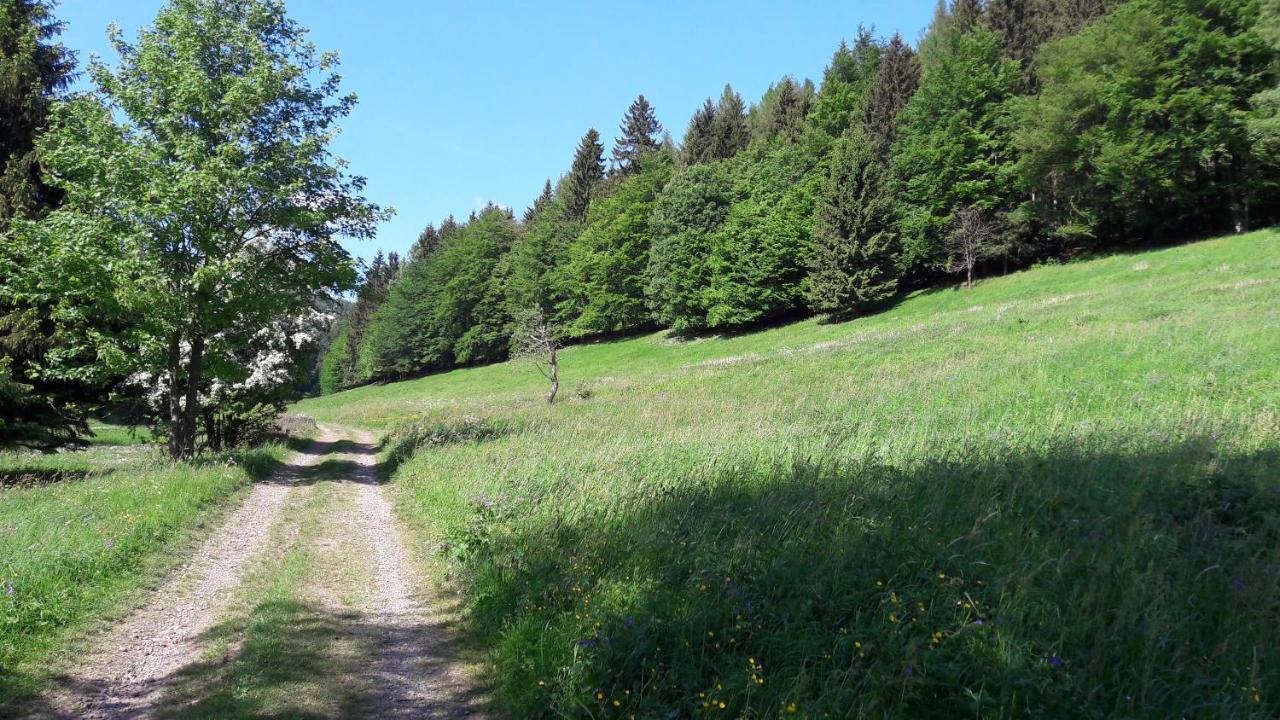 Ferienhaus Moosbachtal Thueringer Wald Bei Oberhof Rotterode Zewnętrze zdjęcie